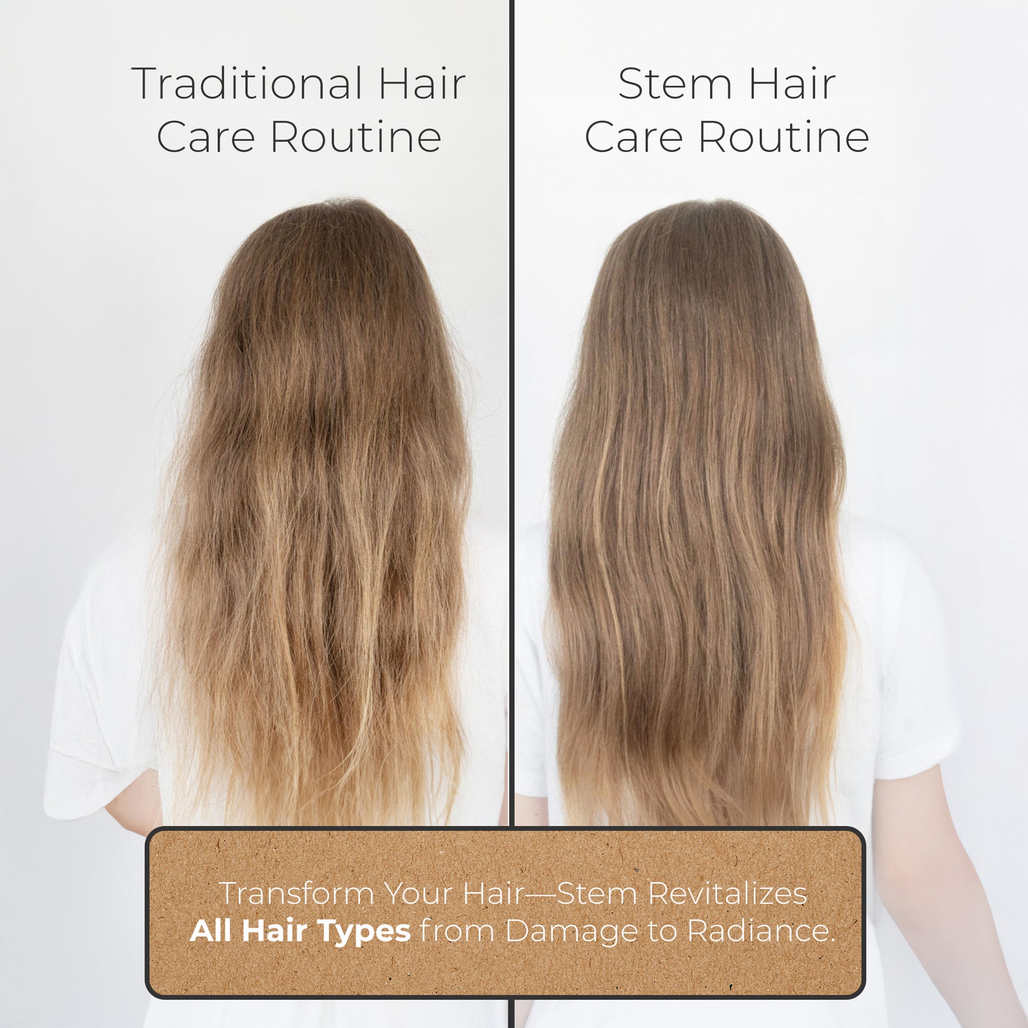 Person sprinkling seasoning onto dog food in a bowl.